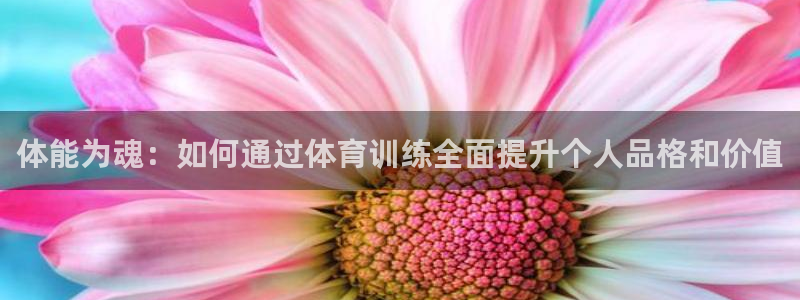 体能为魂：如何通过体育训练全面提升个人品格和价值