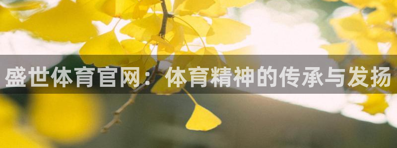 盛世体育官网：体育精神的传承与发扬