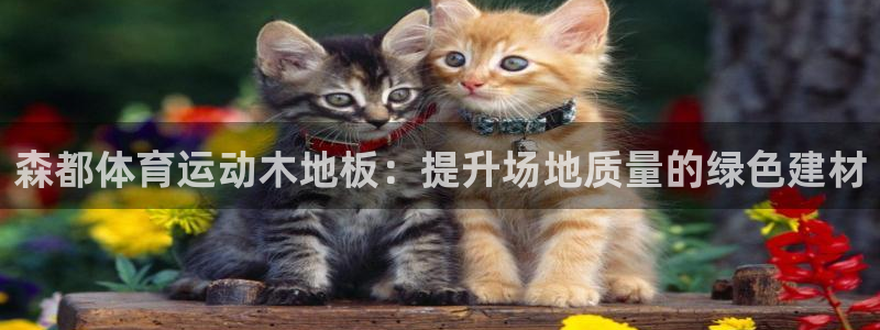 森都体育运动木地板：提升场地质量的绿色建材