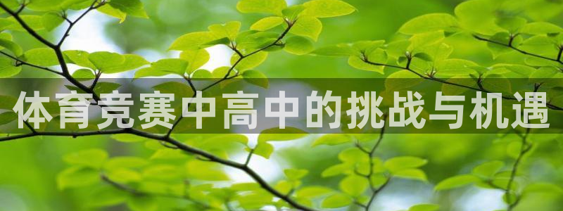 体育竞赛中高中的挑战与机遇