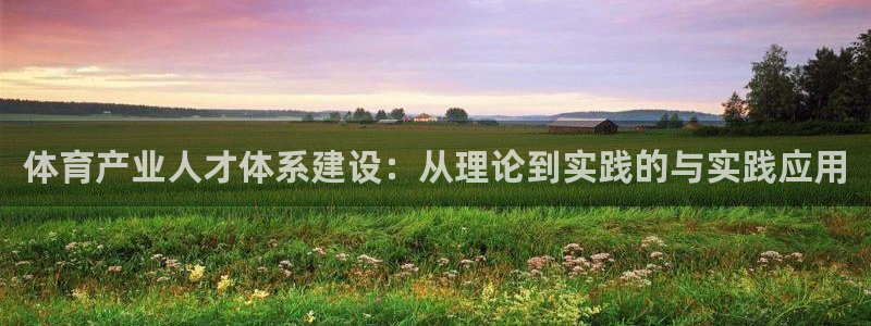 体育产业人才体系建设：从理论到实践的与实践应用