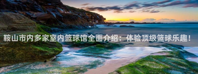 鞍山市内多家室内篮球馆全面介绍：体验顶级篮球乐趣！