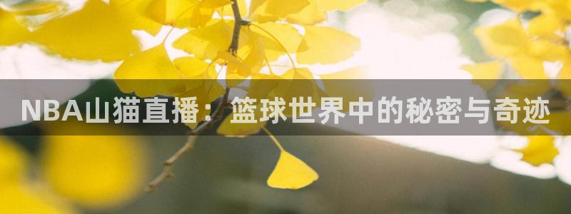 乐球nba免费直播：NBA山猫直播：篮球世界中的秘密与奇迹