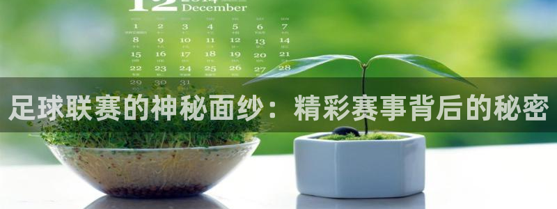 乐球直播篮球：足球联赛的神秘面纱：精彩赛事背后的秘密